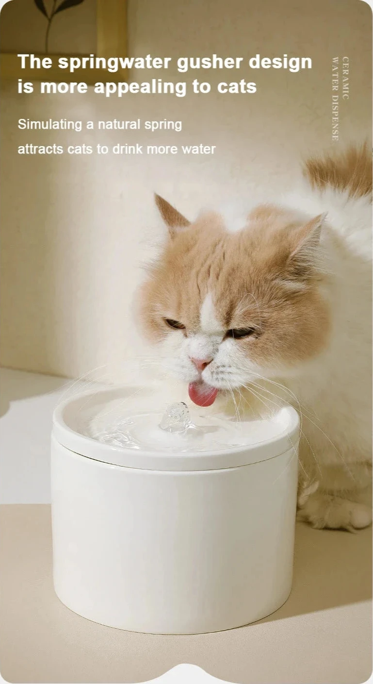 Ceramic Water Fountain - Filtered Fresh Water